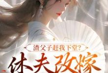 渣父子赶我下堂?休夫改嫁你跪啥免费阅读,渣父子赶我下堂?休夫改嫁你跪啥章节目录-扫文君