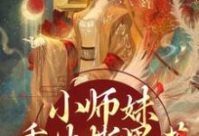 主角凤锦许墨小说无删减版在线阅读，小师妹重生撕黑莲，炸翻宗门免费看-扫文君