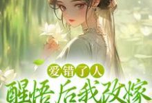 主角唐瑈嘉秦斯珩小说爱错了人，醒悟后我改嫁权王你哭啥免费阅读-扫文君