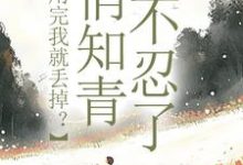 《利用完我就丢掉？俏知青她不忍了》小说精彩章节免费试读，许语嫣叶修远小说在线阅读-扫文君