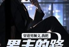穿进男频文，我把男主的路给堵了！小说，穿进男频文，我把男主的路给堵了！陆池苏语念无弹窗在线阅读-扫文君