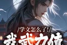 学文怎么了！我武力值照样强免费阅读，学文怎么了！我武力值照样强赵麟-扫文君