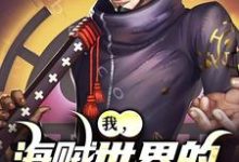 无删减版《我,海贼世界的不死大将》在线免费阅读-扫文君