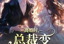 离婚时，总裁变偏执病娇了免费阅读，离婚时，总裁变偏执病娇了章节目录-扫文君