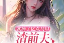无删减版《就掉了亿点马甲，渣前夫哭着求复婚》在线免费阅读-扫文君