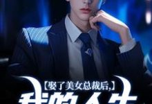 《娶了美女总裁后，我的人生开挂了》全集免费在线阅读（宋远顾时语）-扫文君