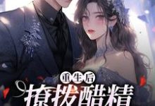 重生后，撩拨醋精小男友小说，重生后，撩拨醋精小男友在线阅读-扫文君