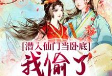 宋时卿谢寂玉小说叫什么(潜入仙门当卧底,我偷了谪仙的心免费阅读)-扫文君