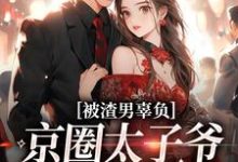 被渣男辜负，京圈太子爷化身治愈系沈颜季辞渊，被渣男辜负，京圈太子爷化身治愈系最新章节-扫文君