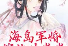 海岛军婚：嫁他生崽崽沈竹一霍锦之，海岛军婚：嫁他生崽崽在线阅读-扫文君