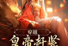 小说《穿越：皇帝赶紧给我打江山》在线阅读-扫文君