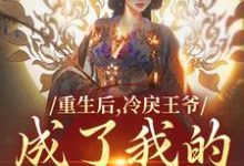 重生后，冷戾王爷成了我的小奶狗全章节免费在线阅读，云想司空琰完结版-扫文君