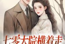 《七零大院横着走，我是老公心尖宠》小说在线试读，《七零大院横着走，我是老公心尖宠》最新章节目录-扫文君