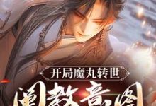 陆冲小说叫什么（开局魔丸转世，阐教意图夺我江山免费阅读）-扫文君