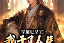 主角苏离凰九天小说无删减版在线阅读，穿越进皇室，我干了人生四大美事免费看-扫文君