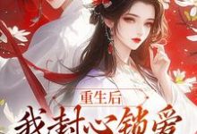 重生后，我封心锁爱，皇帝请离开小说，重生后，我封心锁爱，皇帝请离开免费阅读-扫文君