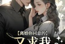 小说《离婚你同意的，又求我复婚干什么》在线阅读-扫文君