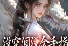 没空间没金手指，让我咋修仙萧晗小说在线章节目录阅读最新章节-扫文君