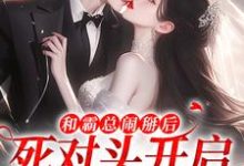 和霸总闹掰后，死对头开启追我模式温楠周言垏小说在线免费阅读-扫文君