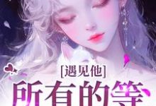 已完结小说《遇见他，所有的等待都值得》在线阅读-扫文君