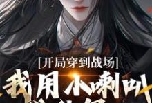 开局穿到战场，我用小喇叭扰乱军心小说在线无弹窗免费阅读-扫文君