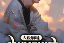 已完结小说《人设崩塌，我横扫道德，做回自己！》免费阅读-扫文君