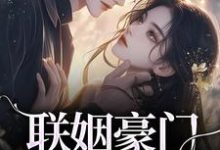 男女主人公沈心姿陆仲廷小说联姻豪门继承人后，我逃婚了！免费阅读-扫文君