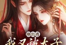 小说《刚出逃,我又被太子绑回来了》在线阅读-扫文君