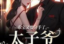 乖宝又要分手了,太子爷求贴贴免费阅读,乖宝又要分手了,太子爷求贴贴厉霆骁江颜-扫文君
