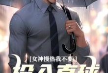 已完结小说《女神慢热我不要，投入直球女怀抱》免费阅读-扫文君
