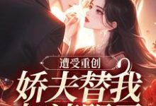 遭受重创，娇夫替我扫清阴霾萧溪羽小说在线免费阅读-扫文君