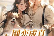 无删减版《网恋成真，这小子乐癫了》全章节阅读-扫文君