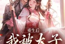 已完结小说《重生后,我被太子缠上了》在线阅读-扫文君