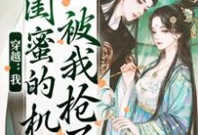 梅久傅砚辞小说在线免费阅读（穿越：我闺蜜的机缘被我抢了无弹窗无删减）-扫文君