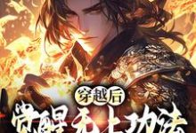 男女主人公宋终小说穿越后，觉醒无上功法的我要复仇了免费阅读-扫文君