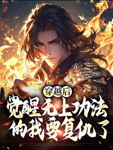 《穿越后，觉醒无上功法的我要复仇了》全集免费在线阅读（宋终）