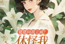 婆婆向我立威？休怪我一拳让你老实最新章节，婆婆向我立威？休怪我一拳让你老实在线阅读-扫文君