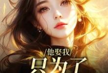 已完结小说《他娶我，只为了替她脱罪？》在线阅读-扫文君