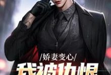 娇妻变心，我被仇恨占据了全身免费阅读，娇妻变心，我被仇恨占据了全身章节目录-扫文君