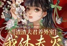 渣渣夫君养外室，我休夫灭妾另高嫁最新章节，渣渣夫君养外室，我休夫灭妾另高嫁在线阅读-扫文君