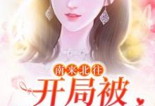 南来北往：开局被汪新喂糖小说免费资源，南来北往：开局被汪新喂糖在线阅读-扫文君