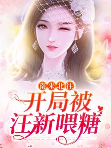 南来北往：开局被汪新喂糖小说免费资源，南来北往：开局被汪新喂糖在线阅读