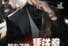 权力之路：凭铁拳，我令黑势力退避步青云雷蕾，权力之路：凭铁拳，我令黑势力退避在线阅读-扫文君