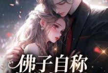 已完结小说《佛子自称空巢老男人？我真的笑了》在线阅读-扫文君