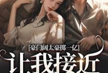 主人公南溪盛恩逸小说豪门阔太豪掷一亿，让我接近她儿子在线阅读-扫文君