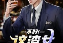 无删减版《不好！这渣女要虐死了》在线免费阅读-扫文君