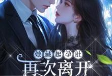 小说《她藏起孕肚再次离开，顾爷气疯了》免费阅读-扫文君