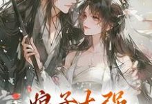 无删减版《娘子太强，我不想努力了》全章节阅读-扫文君