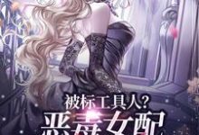 无删减版《被标工具人？恶毒女配甩男主求自由》免费阅读-扫文君