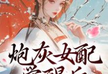 炮灰女配觉醒后：我要宫斗！顾婉盈凤钰昭小说在线免费阅读-扫文君